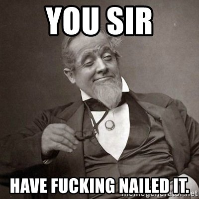 you-sir-have-fucking-nailed-it.jpg