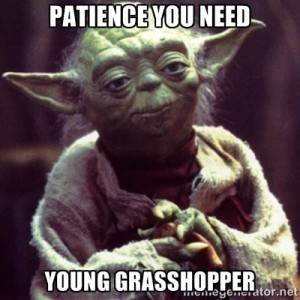 Young Grasshopper.jpg