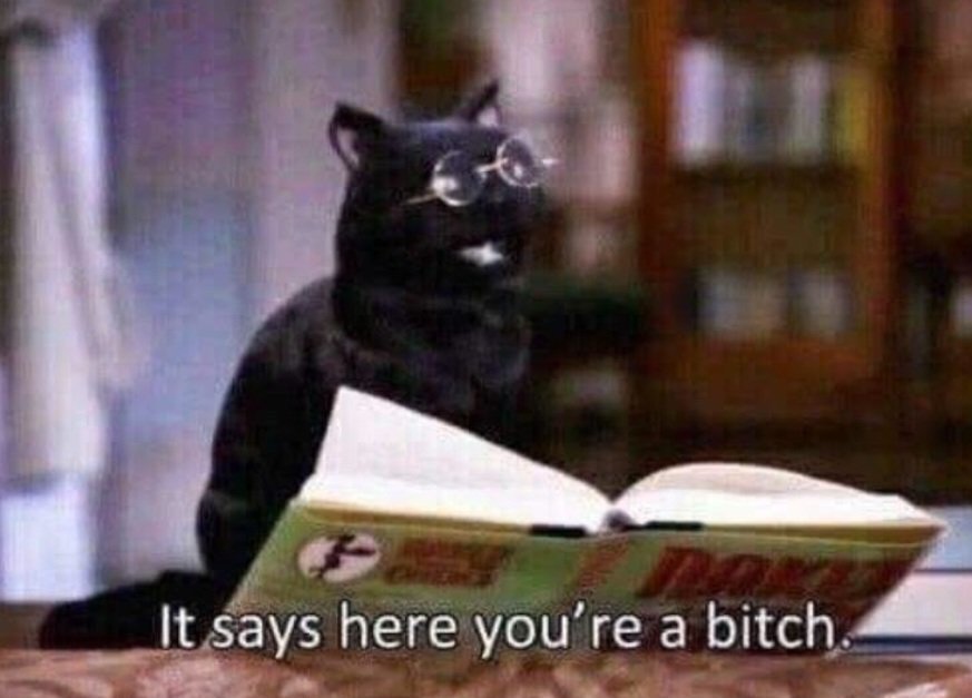 your a bitch.jpg