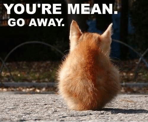 youre-mean-go-away-comment-as-much-as-you-can-9429756.jpg