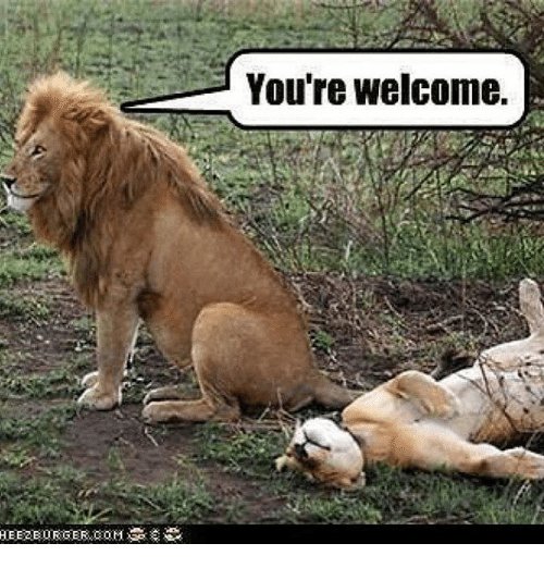 youre-welcome-3695790.jpg
