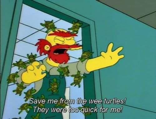 yYCGSt7.jpg