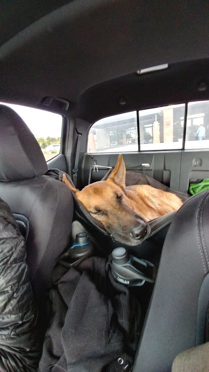 Z Back Seat.jpg