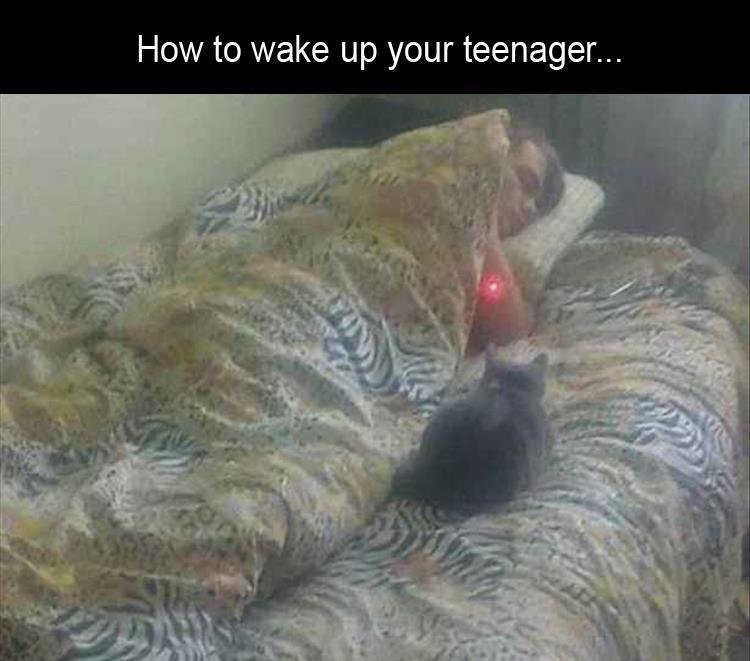 z-funny-141.jpg