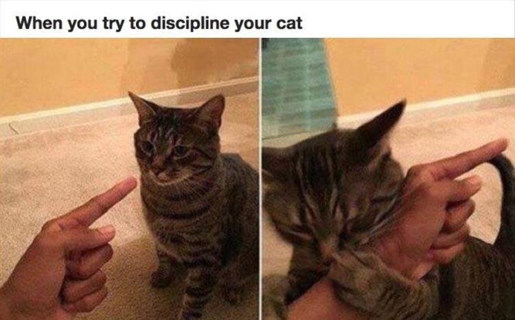 z-funny-173.jpg