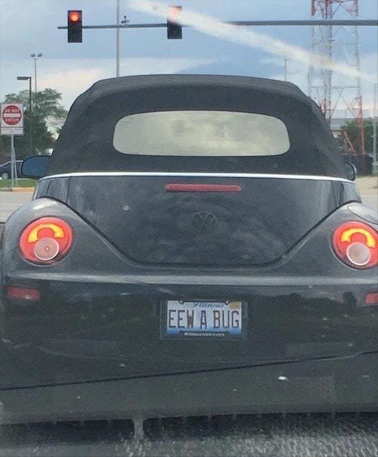 z-funny-89.jpg