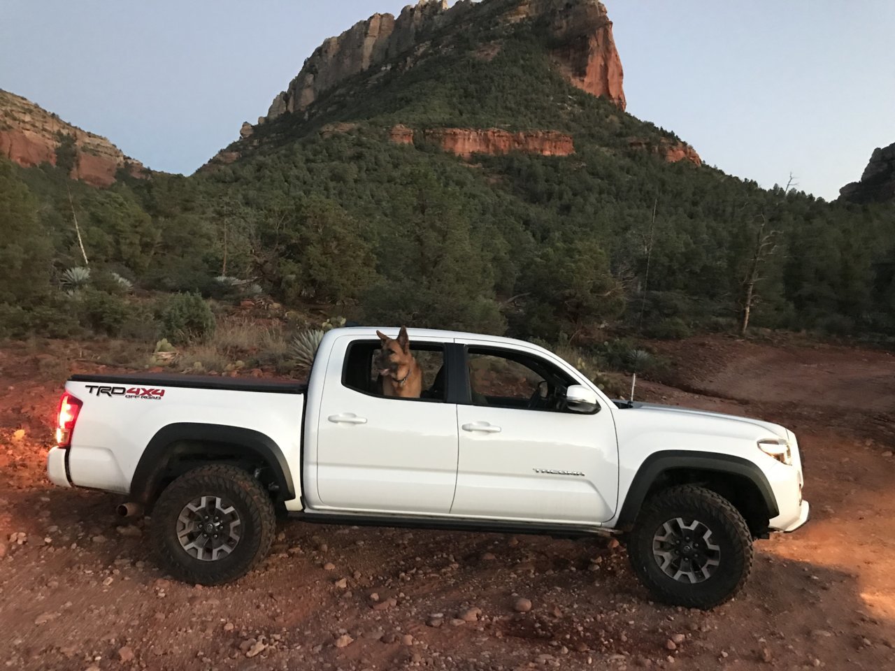 Z Tacoma.jpg