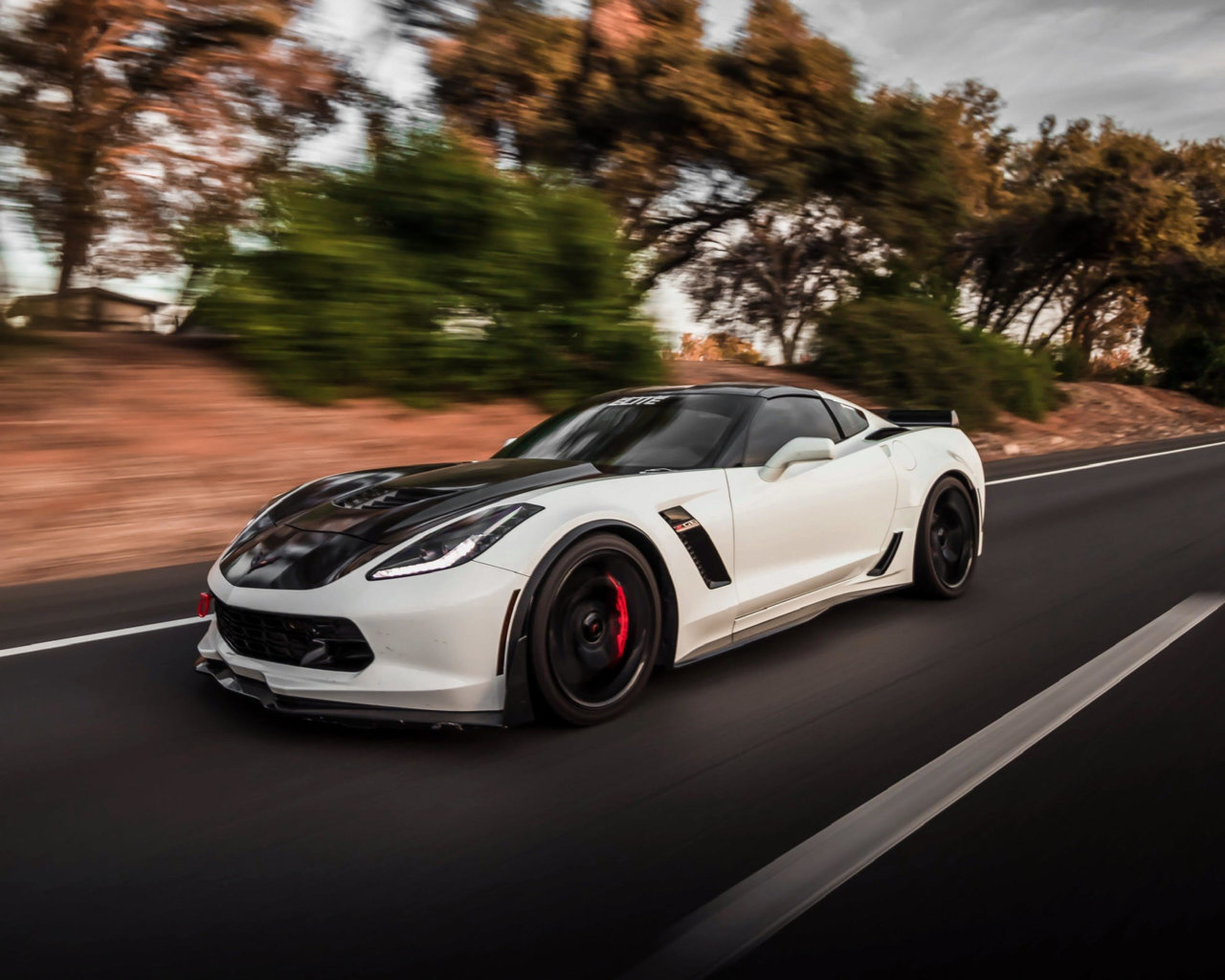 z06 roller.jpg