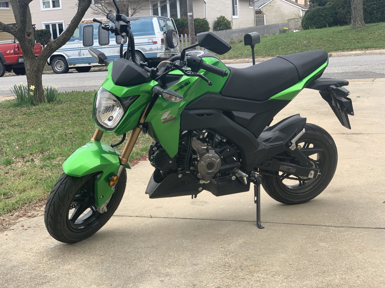 z1251.jpg
