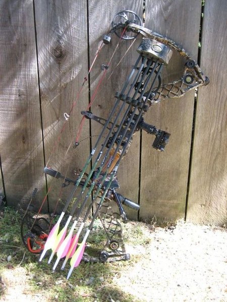 z7.jpg