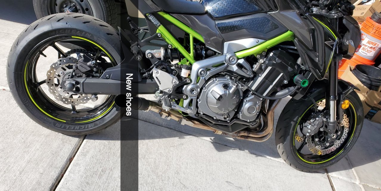 z900.jpg