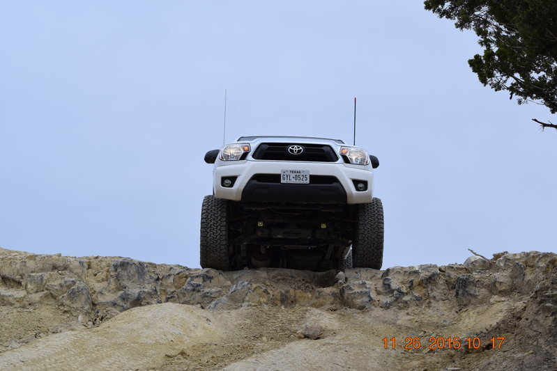 zebDSC_0118.jpg