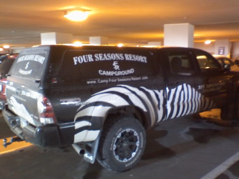 Zebra_79489c8922480ddbd900f88dafa4bbce5a976c2a.jpg