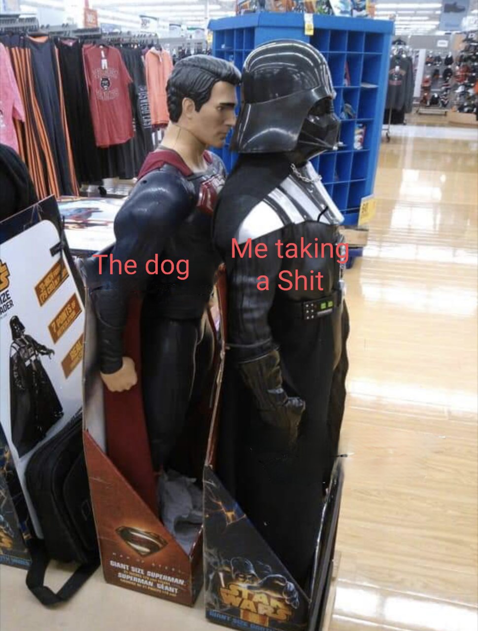 zgw4td8grku31.jpg