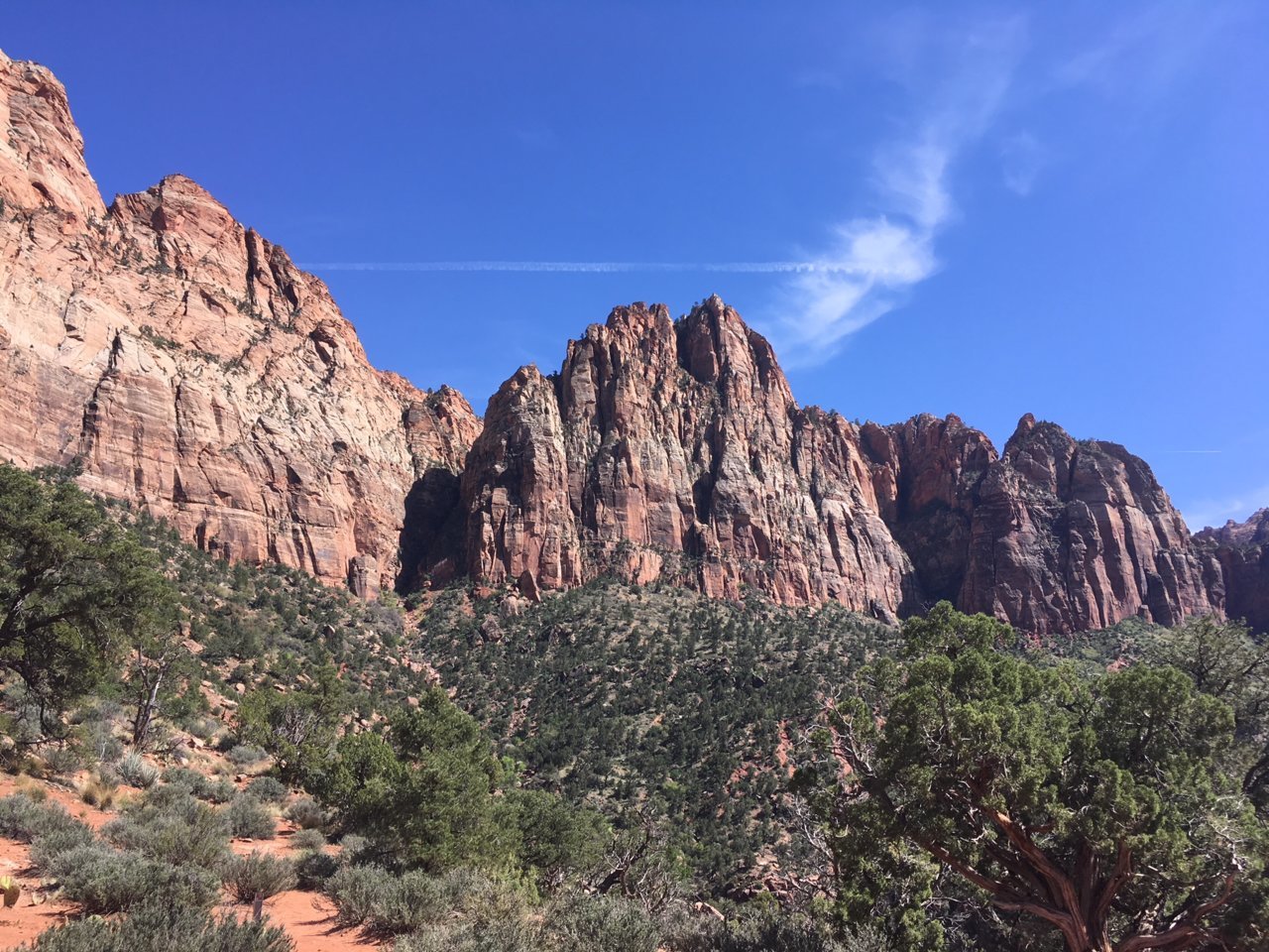 Zion6.jpg