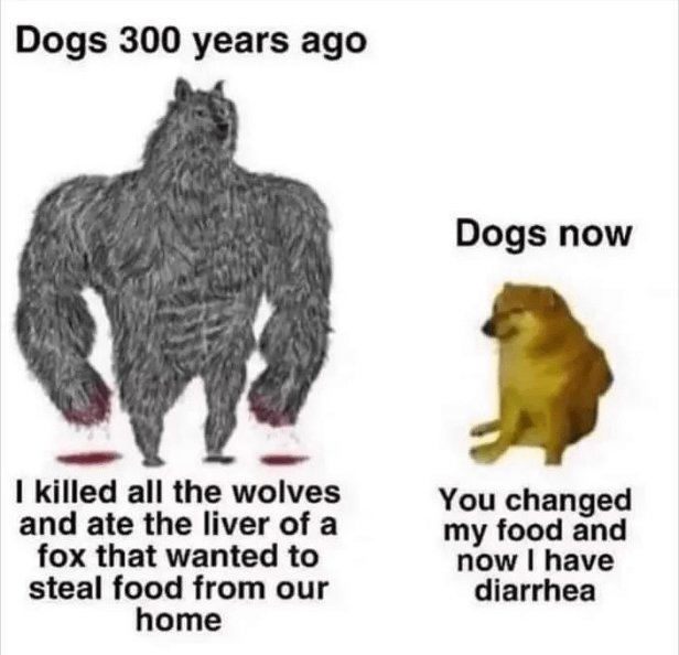 zj0qu60ybo881.png