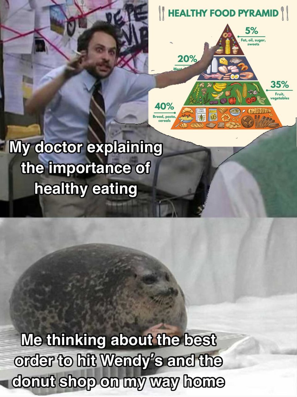 znxqpr3svfu51.jpg