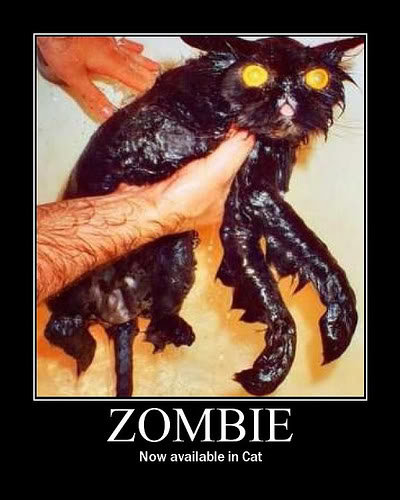 zombie-13_5ff5567b4fab28799d91557b2d52c7284623985d.jpg