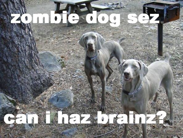 zombie dog.jpg