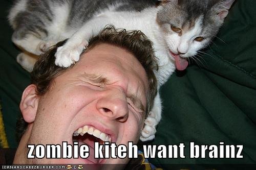 zombie-kitten-cat.jpg