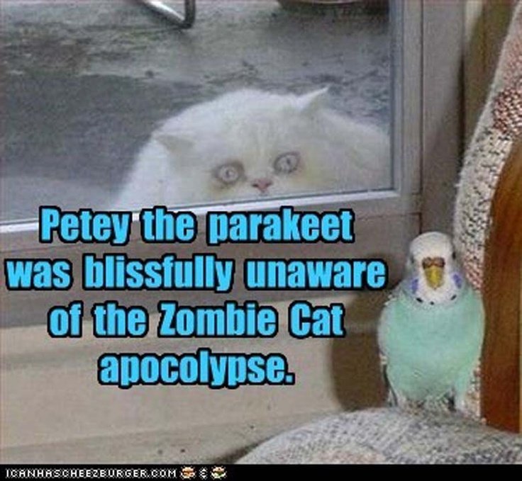 zombie1.jpg