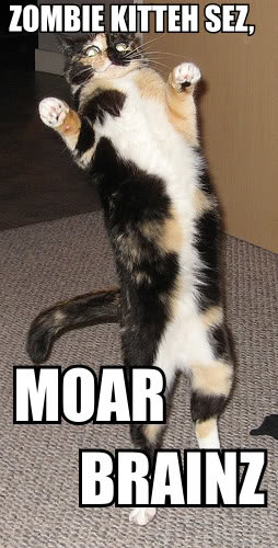 zombiekitty_3546404297f6a4dbbb01602fb3005c3f5238d8ff.jpg