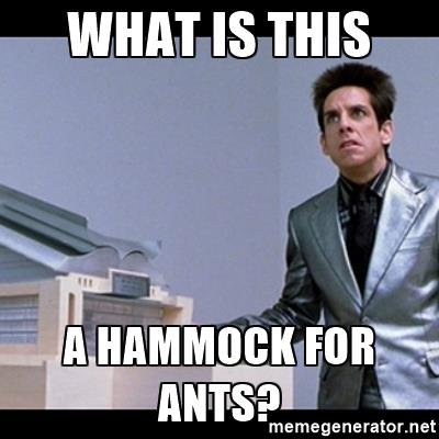 zoolander-for-ants-what-is-this-a-hammock-for-ants.jpg