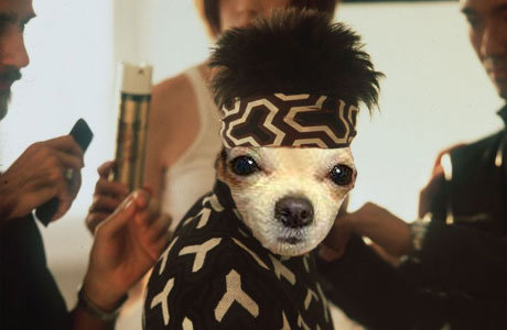 zoolander.jpg