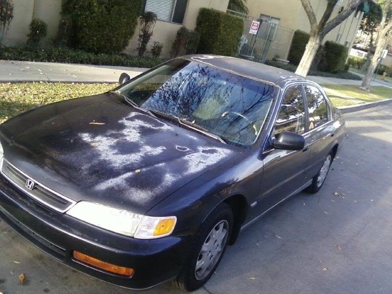 zzzzaccord1_4cb7478798d748ef7a4c41a2984d730286230782.jpg