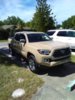 IMG_20160923_115824.jpg