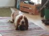 20130113_111443.jpg