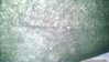 IMG_20161104_154640226.jpg