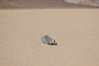 DSC07229.jpg