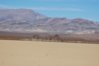 DSC07222.jpg