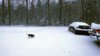 IMG_20170107_072526.jpg