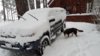 20170103_074727.jpg