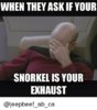 snorkel exhaust.jpg