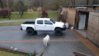 20170205_120537.jpg