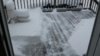 20170209_101725.jpg