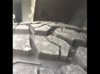 tire1.jpg