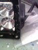 IMG1141A.jpg
