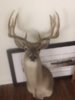 10 pt - Copy.jpg
