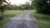 tmp_14277-20170430_071741-766524997.jpg
