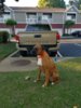 20170502_191556.jpg