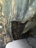 20170529_165437.jpg