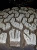 Tires.jpg