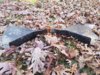 20171116_150010.jpg