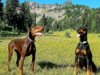 20160824_205528.jpg