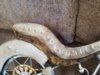 20180208_135422.jpg