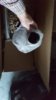 20180301_170748.jpg